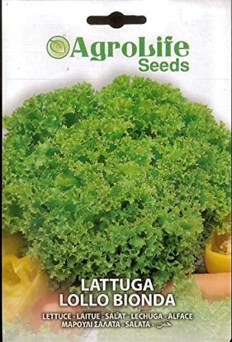 SEMI SEMENTI DI LATTUGA LOLLO BIONDA IN BUSTINA