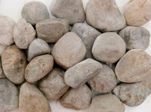 BERNARDELLI - Ciottoli Grigio Occhialino (40/60 mm) per arredo di esterni, vasi e fiorere - Sacco da 25 kg