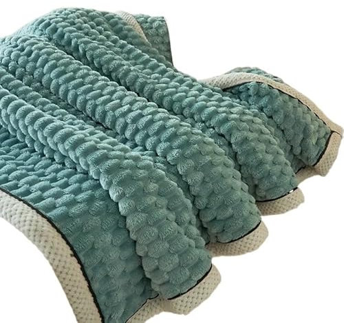 RaamKa Blanket Samt Herbst Winter Warme Schlafdecke Weiche Bequeme Flanell Fleece Decken for Bett Gemütliche Flauschige Wärme Decke Sofadecke (Color : 2, Size : 200x230cm)