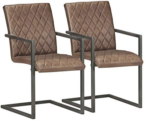 LAPOOH Freischwinger 2 STK Esszimmerstühle, Stühle Set, Küchenstühle, Stühle Esszimmer, Besucherstuhl, Bankettstühle, Essensstuhl, Braun Echtleder