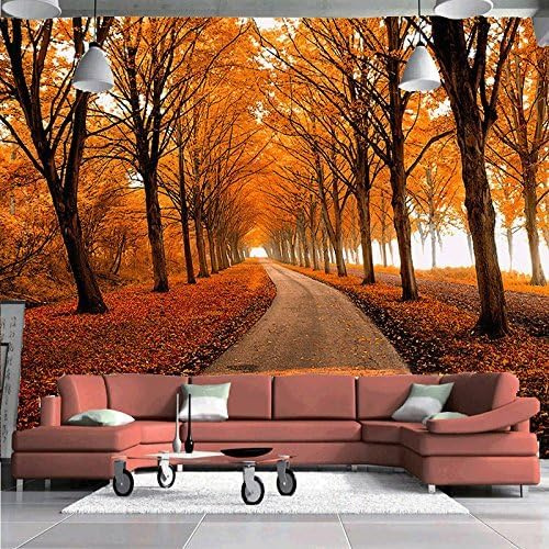 Fotomurales Decorativos Pared Escena Del árbol de Otoño 300x210 cm Papel Pintado Tejido No Tejido Hojas Caídas En El Camino. Fotomural 3D Mural Paredes Papel Tapiz Salón o Dormitorio a.6484