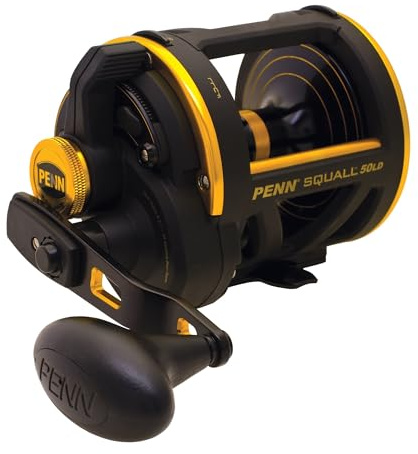 PENN Squall Lever Drag Multirollen
