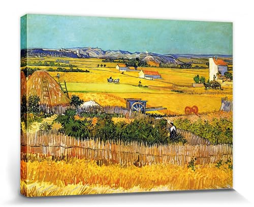1art1 Vincent Van Gogh Poster Die Ebene La Crau Bei Arles Mit Montmajour Im Hintergrund, 1888 Bilder Leinwand-Bild Auf Keilrahmen | XXL-Wandbild Poster Kunstdruck Als Leinwandbild 80x60 cm
