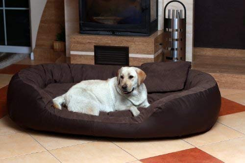 tierlando® Philip VIP Hundebett aus edlem Velours-Kunstleder-Mix mit bequemer Wendematratze, pflegeleichtem Bezug und Stabiler Polsterung Größe: 140x100cm | Farbe: 01 Braun