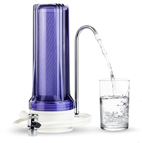 iSpring CKC1C Système de Filtration d'Eau Potable avec Filtre à Charbon, 2.5 x 10, Transparent