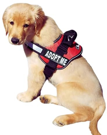 Doggie Stylz Adopt ME Nylon Dog Vest Harness with 2 Reflective Removable Patches - Ideal Dog Harness for Small Dogs and Dog Harness for Large Dogs, Versatile Pet Safety Accessory