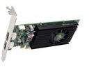 nVidia Scheda Grafica Nvs 310 Nvs 310 DDR3 512 MB 2 x DP