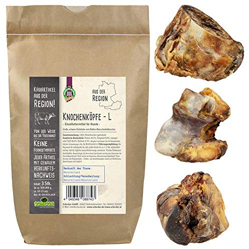 Schecker Knochenköpfe 3 x 500-800 gr Aus der Region große, schwere Endstücke von Bullen Oberschenkelknochen