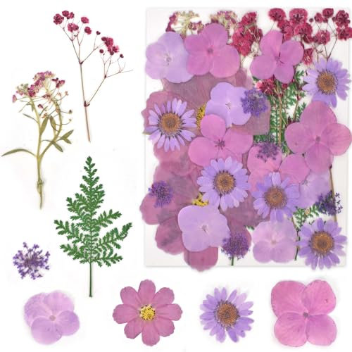 Naapesi 33 Piezas Flores Secas Prensadas, Kit de Hojas Secas de Flores, Flores Secas Naturales, Flores Secas Manualidades, Flores Secas Decoracion, Flores Secas Prensadas para Moldes de Resina