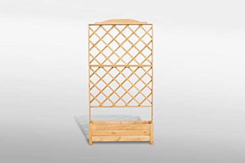 Promadino Rankkasten Botanica 110x210 cm