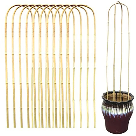 BELUAPI 10 Stück Bambus-Rankstäbe mit Rankhilfe, 61 cm, U-Form, Rankhilfe für Kletterpflanzen, Gemüse, Töpfe, Topfpflanzen