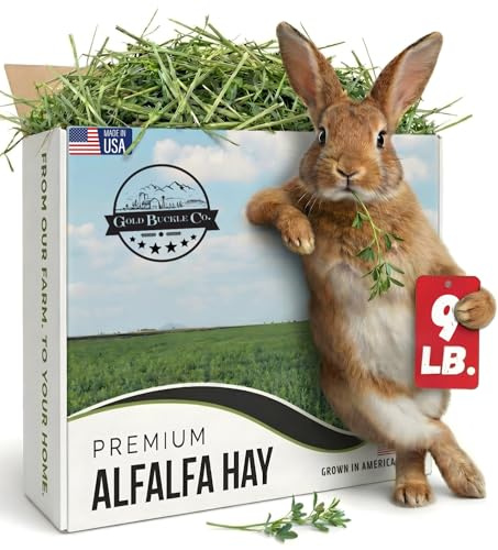 Gold Buckle Co 9lb Farm Fresh Alfalfa Hay for Rabbits, Guinea Pigs, Chinchillas, Goats, Hamsters & Ferrets - Organic Small Animal Food Rich in Protein & Fiber - Fresh Dried, Hand-Selected, USA Grown