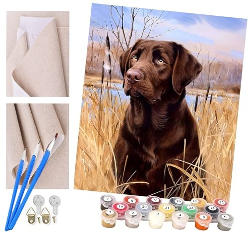 ToeTs Malen nach Zahlen brauner Labrador Erwachsene und Kinder DIY Ölgemälde Geschenk-Kits Geschenk vorgedruckte Leinwand Kunst Home Wandkunst Decoration Geschenk