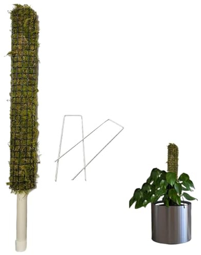 Self-Watering Moss Pole | Stakes Sphagnum For Climbing Plants | Moss Pole For Plant Monstera | Real Moss Stick Handmade Potted Plants Support Trellis Perfect For Big Climbing Plants Indoor