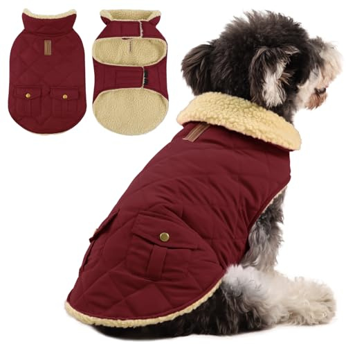 Queenmore Wintermantel Hund Wasserdicht Hundemantel Winter Große Hunde | Warme Fleecemantel Hundejacke Quilten Hundebekleidung für Greyhound Labrador für Kalte Wintertage Zu Hause Und Unterwegs
