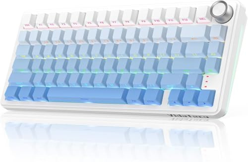 VidaTeco 75% Kabellos-Mechaniktastatur 8000-mAh Akku mit RGB-Beleuchtung, Hot-Swap & Seitenbeschriftung,Reaktionsschnell für PC & Mac,QWERTY-Layout