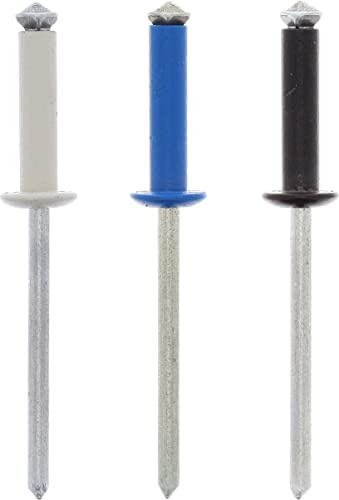 Restagraf Assortimento di Rivetti verniciati per Targa di Immatricolazione, 4 x 16 mm, Set di 8