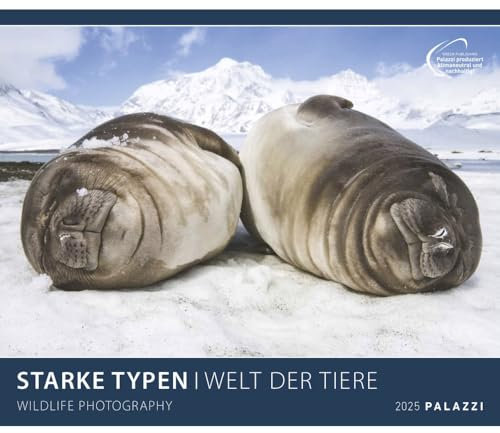 PALAZZI - Starke Typen 2025 Wandkalender, 70x50cm, Posterkalender mit brillanten Aufnahmen von WIldtieren, wunderbare Porträts und Momentaufnahmen, ... Kalendarium: Wildlife Photography