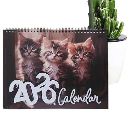 rganisateur mural ludique Kitty, pages de planification colorées de 12 mois, charmantes illustrations de moustaches, blocs d'écriture spacieux | Décoratif pour les cadeaux de vacances du bureau à domi