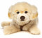 Uni-Toys - Golden Retriever, liegend - Mit Geschirr - 60 cm (Länge) - Plüsch-Hund - Plüschtier, Kuscheltier