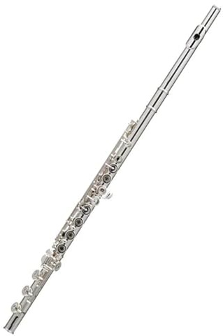 Versilbertes 17-Loch-C-Klappen-Flöteninstrument mit Kupfer-Nickel-Körper und E-Mechanismus Flöte Für Anfänger