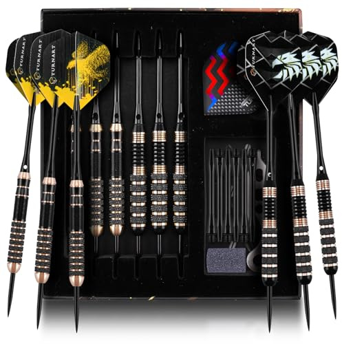 Turnart dartpilar metallspetsset – stålspets dartset professionella darttavlor, set med darttavla, 12 st 24 gram 20 O-ringar, dart-axlar, 24 extra flygningar dartverktyg (6 mässingspilar med guld)