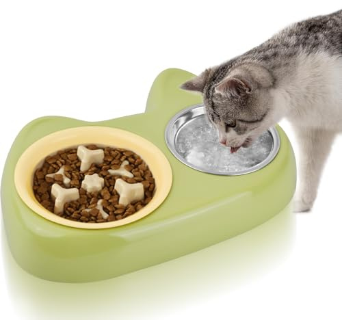kissral Gamelle Chat avec 2 Bols, Anti-Glouton et INOX, Mangeoire pour Chat et Chaton, Bol Lentille et Inoxydable, Surchaussée Antidérapante
