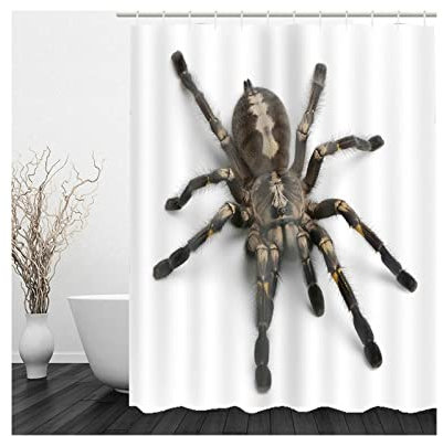 Whoiy Shower Curtain Weights, Duschvorhang Waschbar Anti Schimmel 165X200cm Polyester Badegardinen Große Spinne Kaffee Wasserdicht
