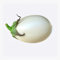 60 Semillas de Berenjena White Egg - SemiSauvage Permaculture