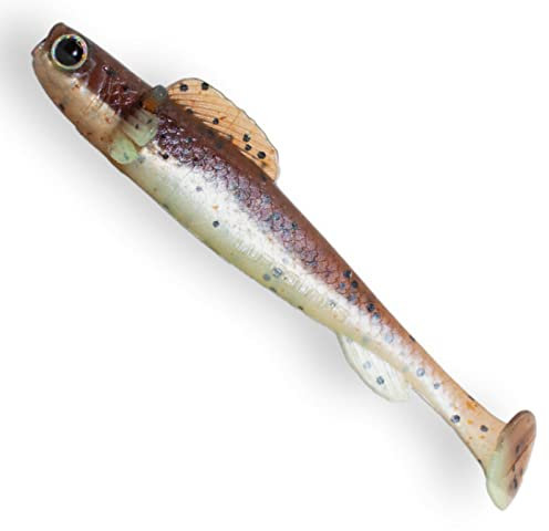 Lurejunks Finisher Shad - 5 Gummifische - Angelköder für Hecht, Zander & Barsch, Gummiköder, Länge:12cm, Farbe:Dark Pearl