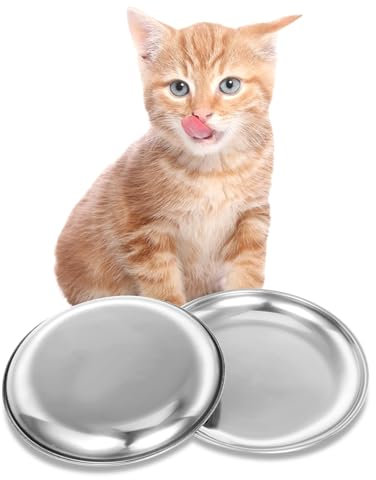 Gjinxi 2 x Edelstahl Katzennapf,Futternapf Katzennäpfe rutschfest Napf Set Solide Fressnapf Katze Flach Futterschüssel Wasser Fütterung Schüsselfutternäpfe Katzenschüssel für kleine Hunde und Katzen