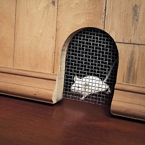 QQXY Acciaio Inossidabile Rete Recinzione Rete Metallica,Reticolo ad arvicola griglia,per Armadietti da Giardino con Protezione di Sicurezza in Metallo Totale