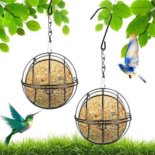 2 Piezas Soporte para Bolas De Grasa, Soporte para Bolas De MaíZ, Comedero para PáJaros De Metal para Colgar con Gancho En Forma De S, Comedero para PáJaros De JardíN para PáJaros Silvestres (Negro)
