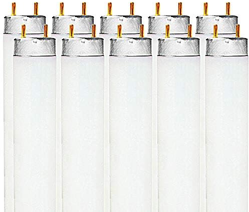LUXRITE F32T8/841 32W 48 Inch T8 Fluorescent Tube Light Bulb, 4100K Cool White, 2800 Lumens, G13 Medium Bi-Pin Base, LR20732, 10-Pack