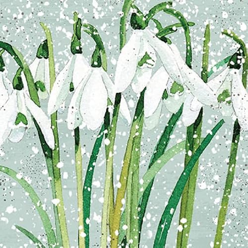 Paperlink Artistic Charity Weihnachtskarten – Schneeglöckchen – schöne Aquarell-Stil-Schneeglöckchen-Illustration – 6 Karten von 1 Design – mit Silberfolien-Finish, 6 Stück