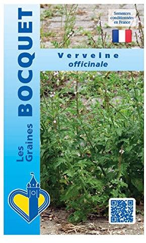 Sachet de graines de verveine Officinale- Les Graines Bocquet
