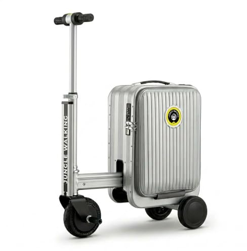 Valise Trottinette Électrique Adulte 20L, Argent