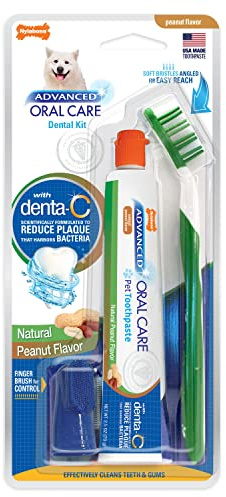 Nylabone Advanced Oral Care Natural Dog Dental Kit Peanut Flavor 2.5 oz.