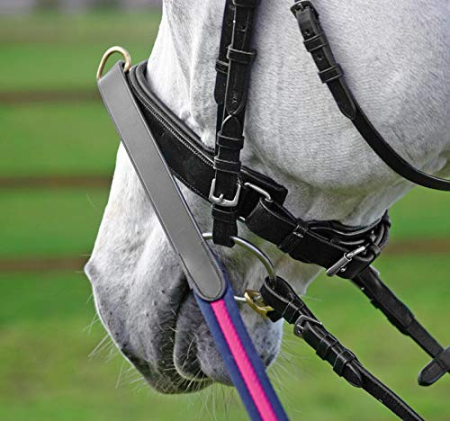 Crownclub Longierreithalfter Ho by Busse