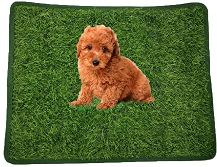 Pavimentazione Erba Sintetica Tappetini in Erba Sintetica per Cani, Coperta di Addestramento del Vasino Dell'animale Domestico All'aperto Dell'interno, Tappetino per Urina di Cane in Erba Artificiale