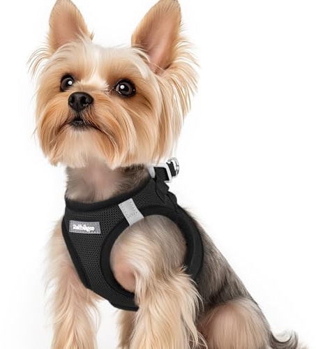 rabbitgoo Harnais Chien Petite Taille Noir XS, Harnais Chiot Respirante en Maille Souple, Arnet pour Chien Réfléchissant Facile à Mettre, Gilet Réglable pour Petits et Moyens Chiens pour Marche