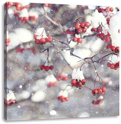 Pixxprint Vogelbeeren mit Schnee bedeckt, Größe: 60x60, Leinwandbild Quadratisch, Wandbild, Kunstdruck, fertig bespannt