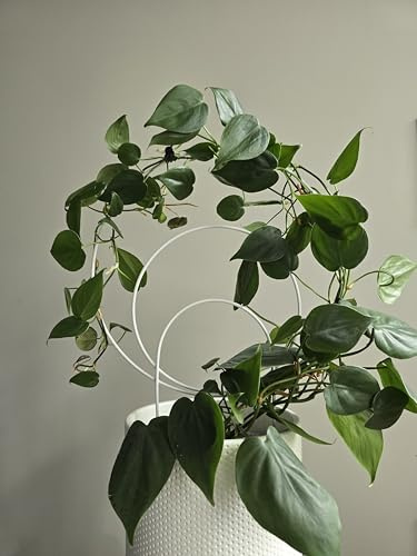 LEAFLO Sunshine Rankhilfe für Zimmerpflanzen 48 cm | Weiß | Metall - Pflanzenstütze - Rankgitter - Blumengitter | Innenraum Dekoration | Für Pflanzenliebhaber