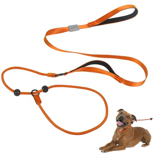 Slip Lead for Dogs, Two Handle Dog Slip Collar Anti Choking, 1.7m Dog Lead with Soft Foam Padded Climbing-Grade Nylon Rope Halter, Training Leash (Orange)