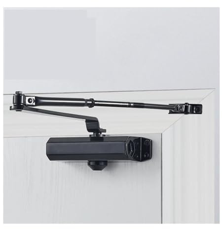 Chiudiporta automatico con tampone idraulico, velocità e potenza di chiusura regolabili, 2 molle, universale, resistente, per porte interne/esterne da 25 a 80 kg (posizionamento nero, S)