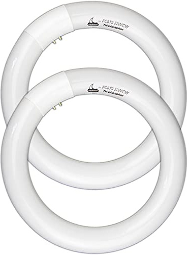 CHKADAWA FC8T9/CW Circular Fluorescent Light Bulb, 8 Inch Round T9 22W Circline Bulbs Replacement for Circle Ceiling Fixture, Cool White 4100K 1350 Lumens, G10q 4 Pin Base, 2 Pack