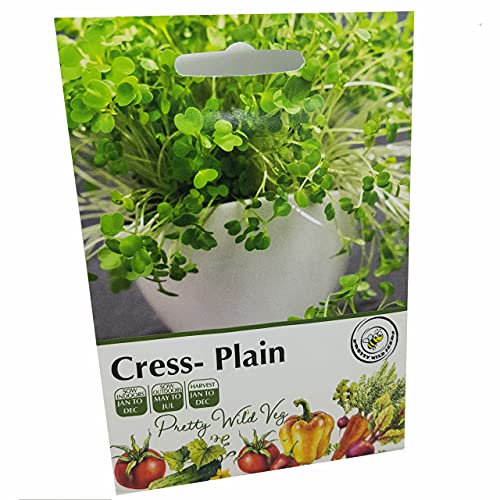 Cress Common/Plain Seeds in Pictorial Packet 2,000 Seeds by Pretty Wild Seeds in UK