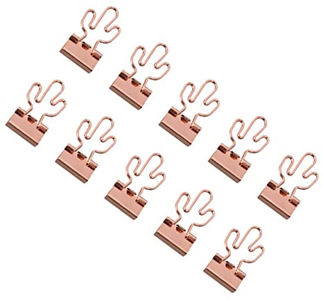 Edelstahl Binderclips 10 Stück mit Großem Clip für Schulanfang Deko