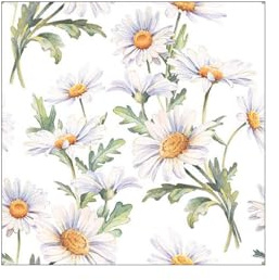 Ambiente Servietten Papier 33x33cm 3-lagig 20 Stück - hochwertig & nachhaltig - Einweg Papierservietten mit Margeriten Motiv Weiß - Gartenparty Lunchservietten Sommerfest florales Tischdeko