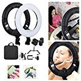 Yidoblo 12 Dimmable LED Light Ring FS-390II Kit with H Table Stand, Batteries, Chargers, Carrying Bag, Photo Holder for Portrait Selfie Youtube Photo Video Studio Photography Lighting